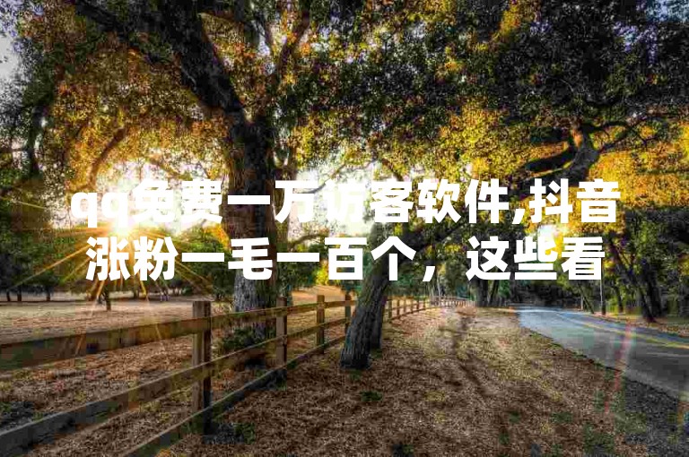 qq免费一万访客软件,抖音涨粉一毛一百个，这些看似诱人的网络服务背后，实则隐藏着诸多风险与不确定性。