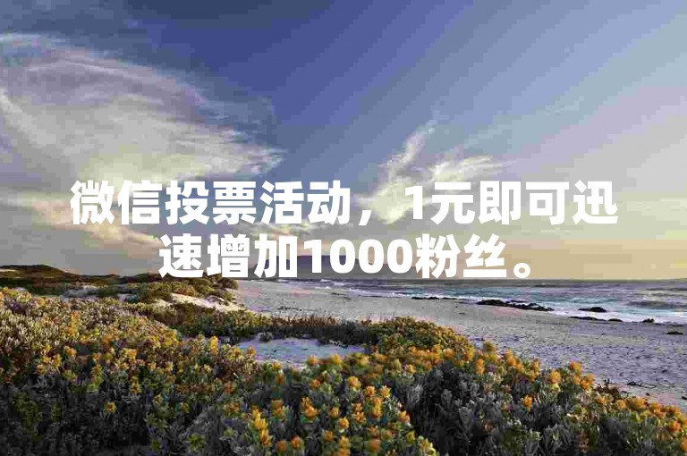 微信投票活动，1元即可迅速增加1000粉丝。