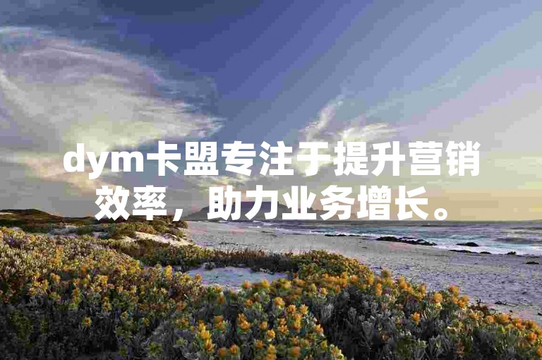 dym卡盟专注于提升营销效率，助力业务增长。