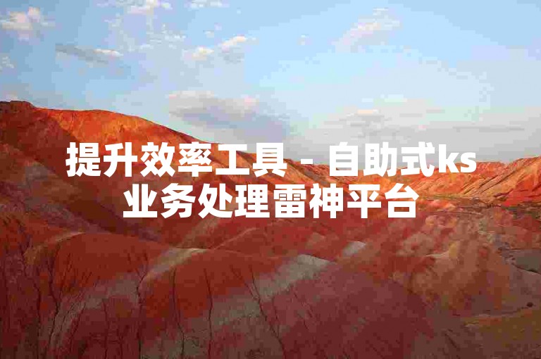 提升效率工具 - 自助式ks业务处理雷神平台