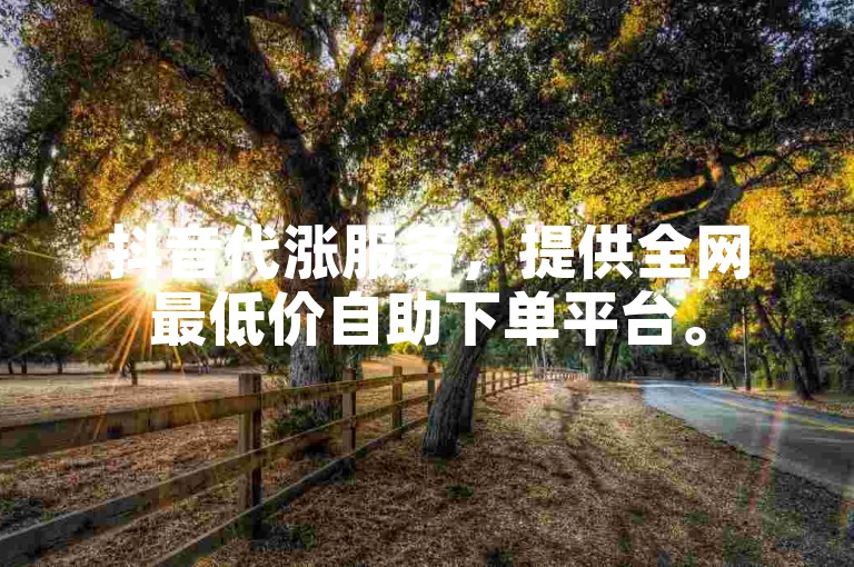 抖音代涨服务，提供全网最低价自助下单平台。