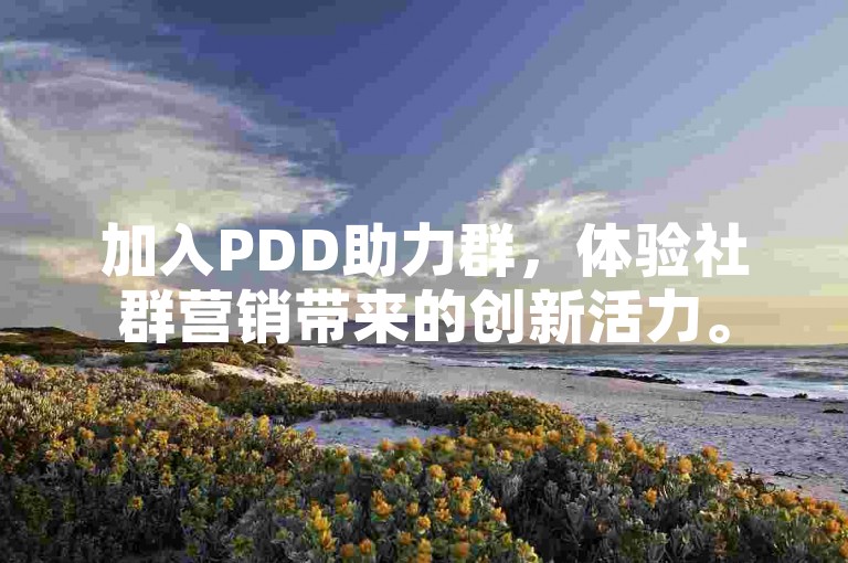 加入PDD助力群，体验社群营销带来的创新活力。