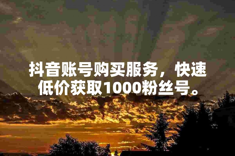 抖音账号购买服务，快速低价获取1000粉丝号。