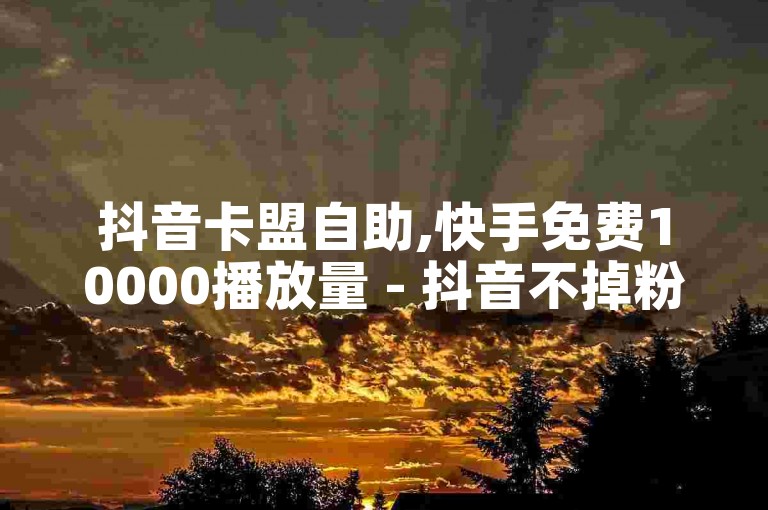 抖音卡盟自助,快手免费10000播放量 - 抖音不掉粉 - 爱奇艺会员0.1元开通