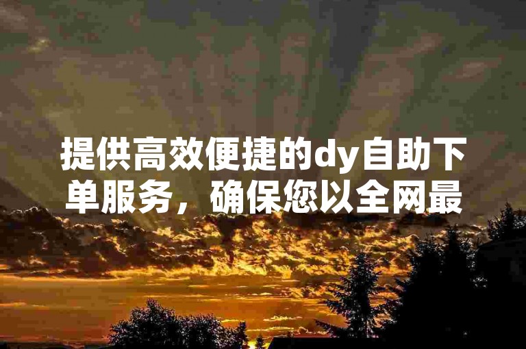 提供高效便捷的dy自助下单服务，确保您以全网最优惠的价格快速提升快手账号影响力。