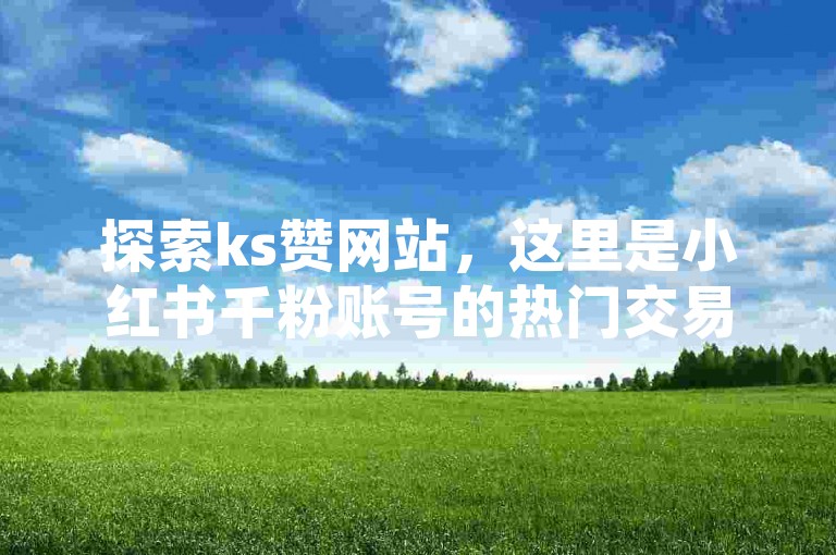 探索ks赞网站，这里是小红书千粉账号的热门交易平台。