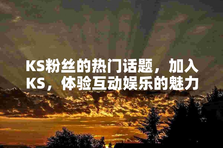 KS粉丝的热门话题，加入KS，体验互动娱乐的魅力，新手不容错过！