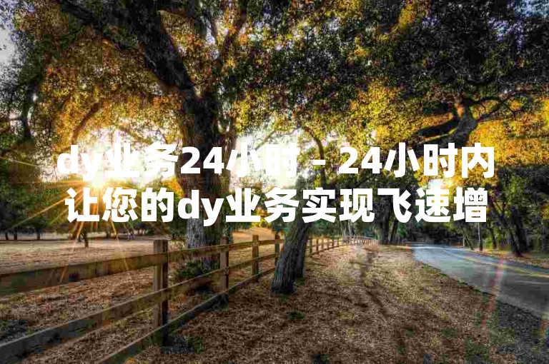 dy业务24小时 - 24小时内让您的dy业务实现飞速增长！