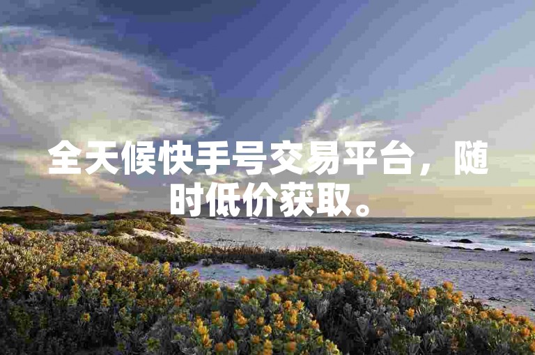 全天候快手号交易平台，随时低价获取。