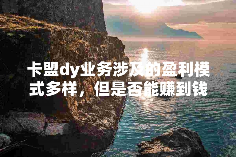 卡盟dy业务涉及的盈利模式多样，但是否能赚到钱取决于市场需求、个人经营策略以及行业竞争态势。