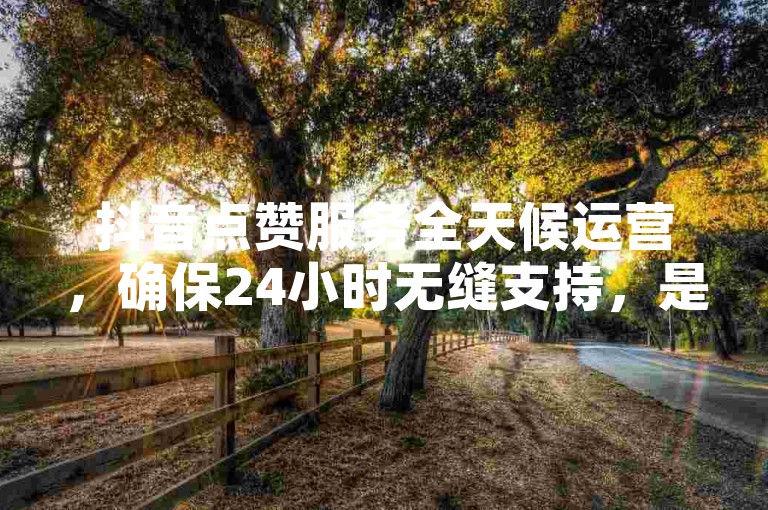 抖音点赞服务全天候运营，确保24小时无缝支持，是新用户增长粉丝的得力助手！