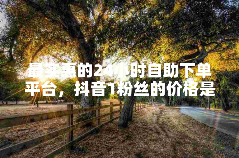最实惠的24小时自助下单平台，抖音1粉丝的价格是多少人民币。