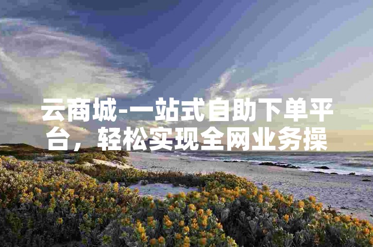 云商城-一站式自助下单平台，轻松实现全网业务操作。