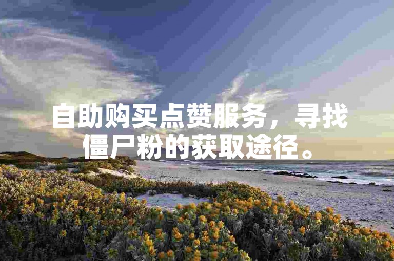 自助购买点赞服务，寻找僵尸粉的获取途径。