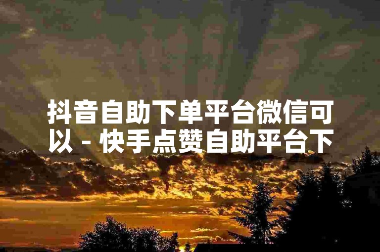 抖音自助下单平台微信可以 - 快手点赞自助平台下单网站便宜是真的吗？