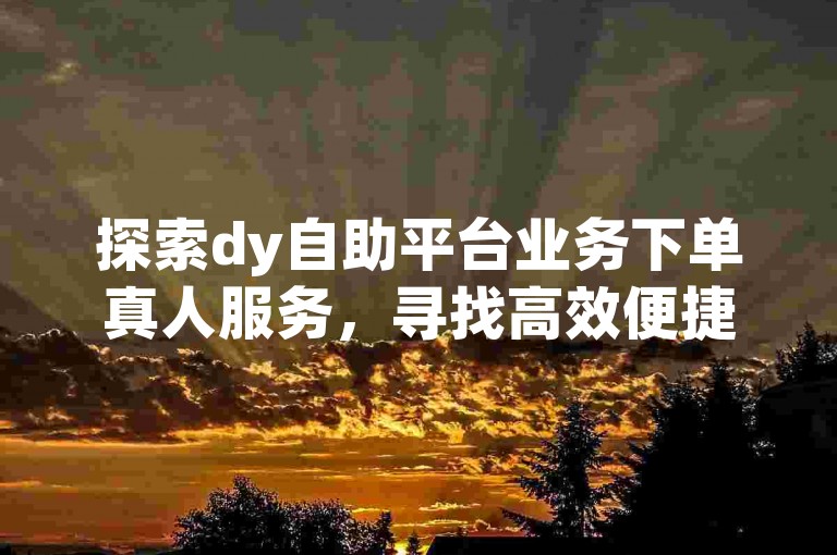 探索dy自助平台业务下单真人服务，寻找高效便捷的解决方案。