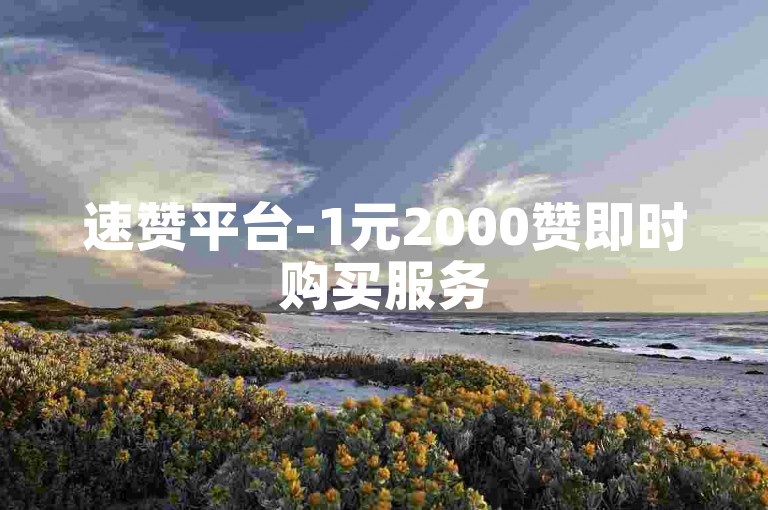速赞平台-1元2000赞即时购买服务