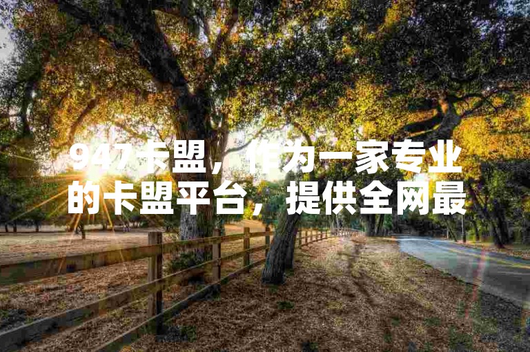 947卡盟，作为一家专业的卡盟平台，提供全网最全面的货源服务。