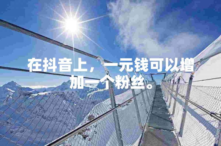 在抖音上，一元钱可以增加一个粉丝。
