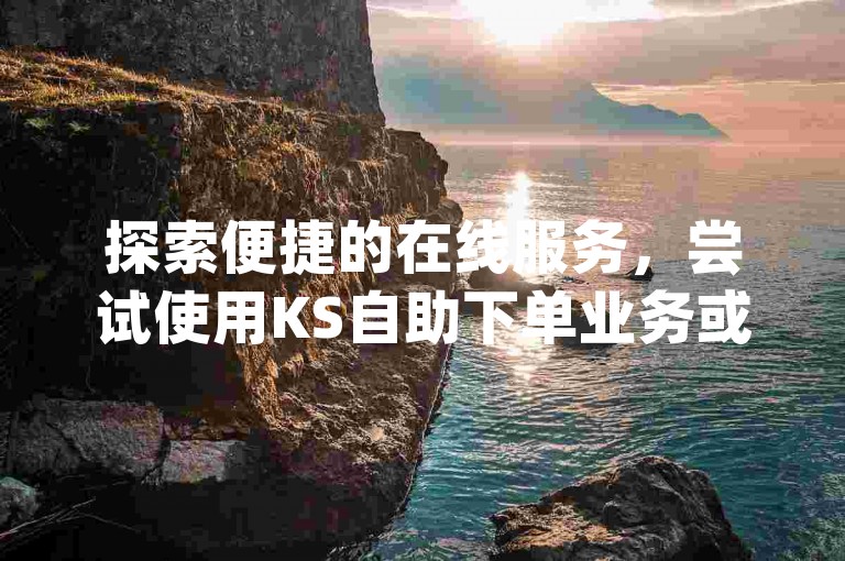 探索便捷的在线服务，尝试使用KS自助下单业务或访问dy下单自助平台。