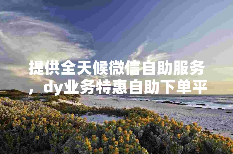 提供全天候微信自助服务，dy业务特惠自助下单平台。