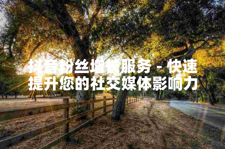 抖音粉丝增长服务 - 快速提升您的社交媒体影响力。
