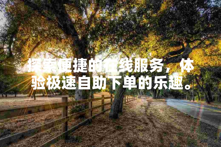 探索便捷的在线服务，体验极速自助下单的乐趣。
