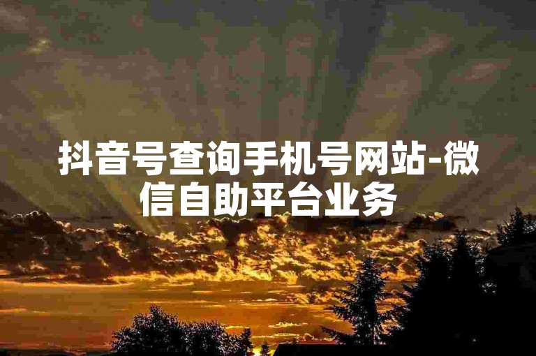 抖音号查询手机号网站-微信自助平台业务