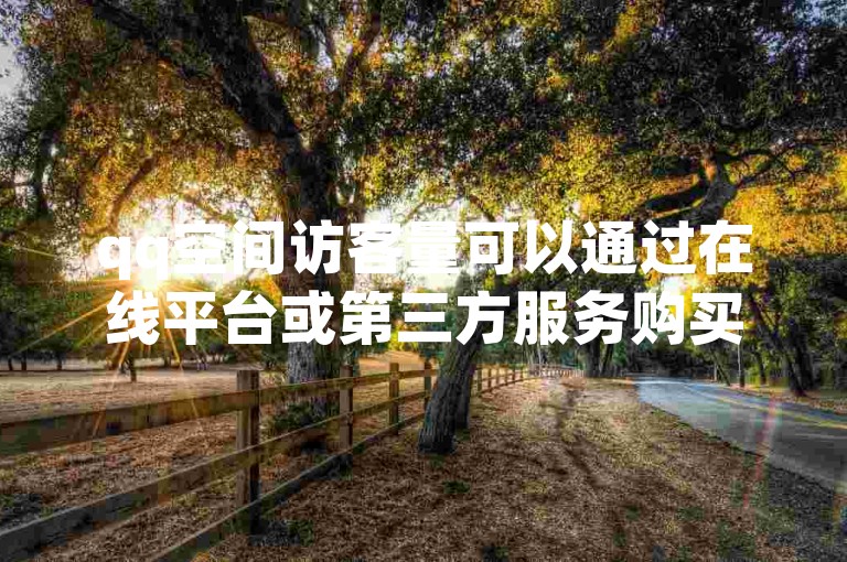 qq空间访客量可以通过在线平台或第三方服务购买。