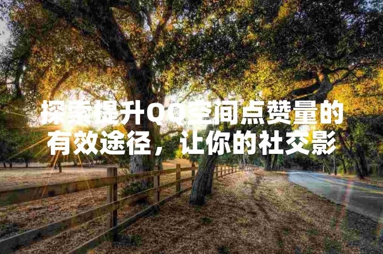 探索提升QQ空间点赞量的有效途径，让你的社交影响力更上一层楼。