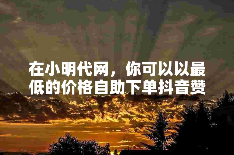 在小明代网，你可以以最低的价格自助下单抖音赞，快速提升你的快手人气。
