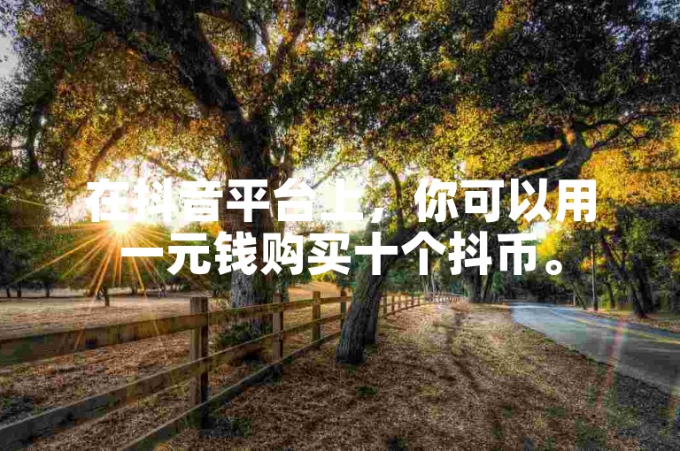 在抖音平台上，你可以用一元钱购买十个抖币。