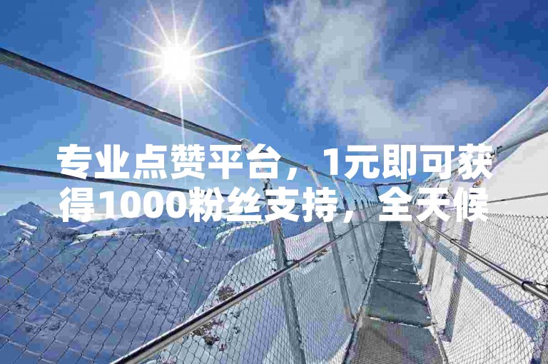 专业点赞平台，1元即可获得1000粉丝支持，全天候人工点赞服务在线待命。