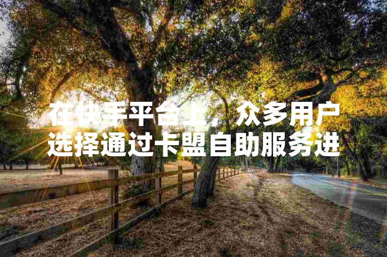在快手平台上，众多用户选择通过卡盟自助服务进行粉丝增长，享受24小时不间断的下单便利。