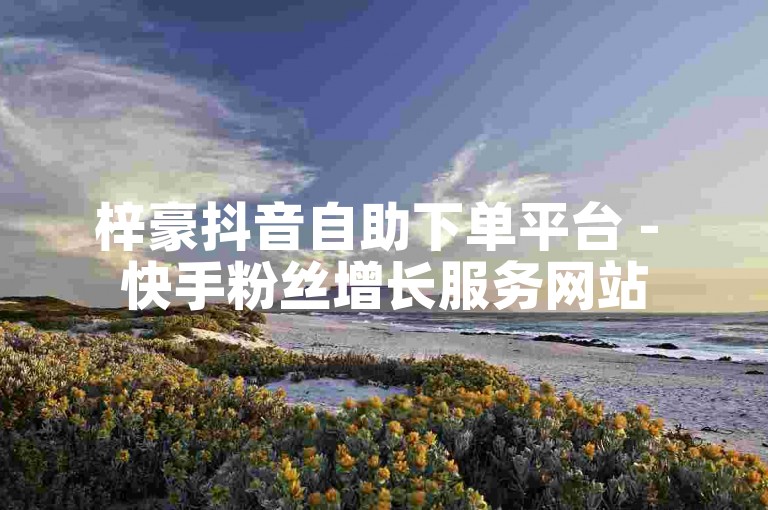 梓豪抖音自助下单平台 - 快手粉丝增长服务网站