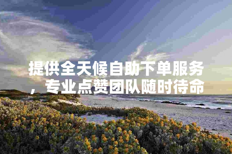 提供全天候自助下单服务，专业点赞团队随时待命。