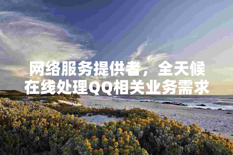 网络服务提供者，全天候在线处理QQ相关业务需求。