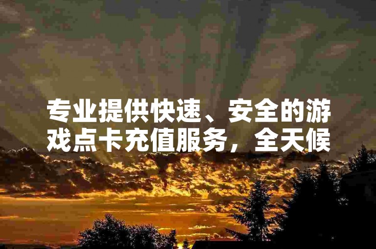 专业提供快速、安全的游戏点卡充值服务，全天候自助操作，助你畅游虚拟世界。