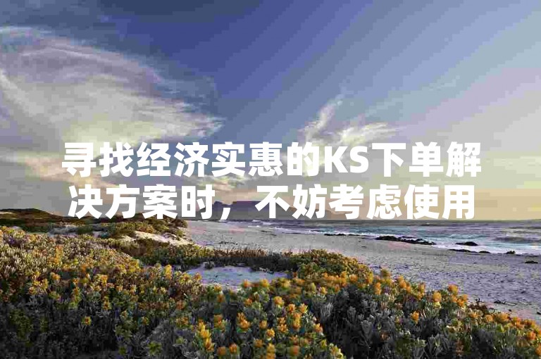 寻找经济实惠的KS下单解决方案时，不妨考虑使用那些提供优惠价格和高效服务的在线平台。
