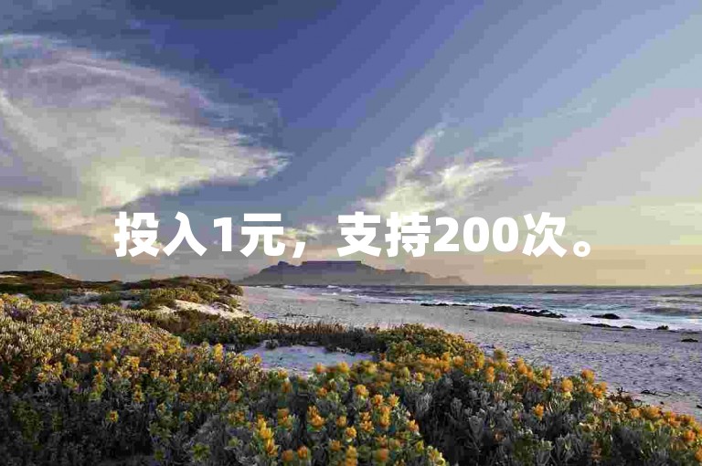 投入1元，支持200次。
