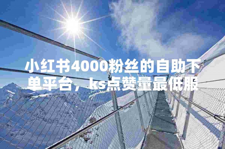 小红书4000粉丝的自助下单平台，ks点赞量最低服务。