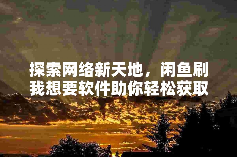 探索网络新天地，闲鱼刷我想要软件助你轻松获取心仪商品！