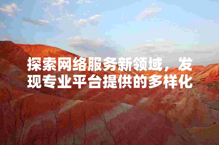 探索网络服务新领域，发现专业平台提供的多样化业务，包括社交媒体推广和电子商务支持。