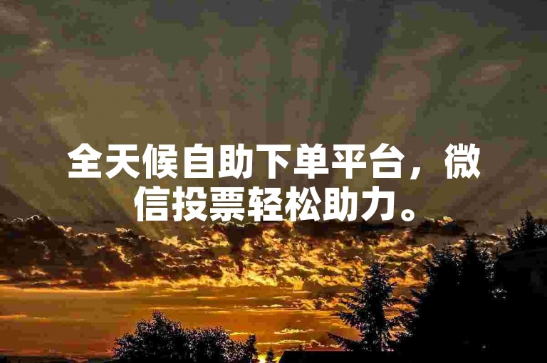 全天候自助下单平台，微信投票轻松助力。
