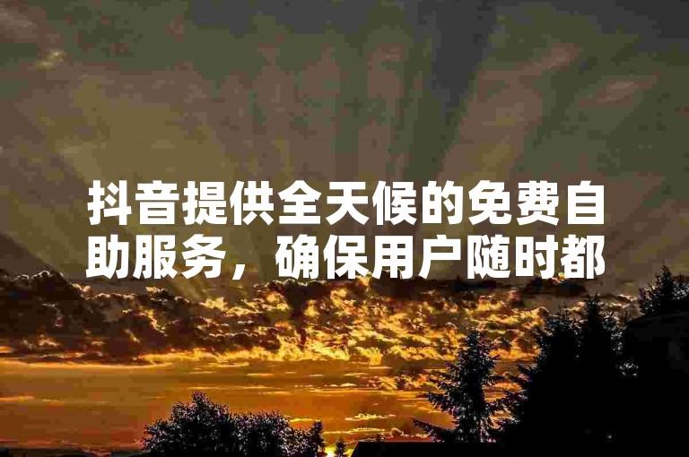 抖音提供全天候的免费自助服务，确保用户随时都能获得支持。