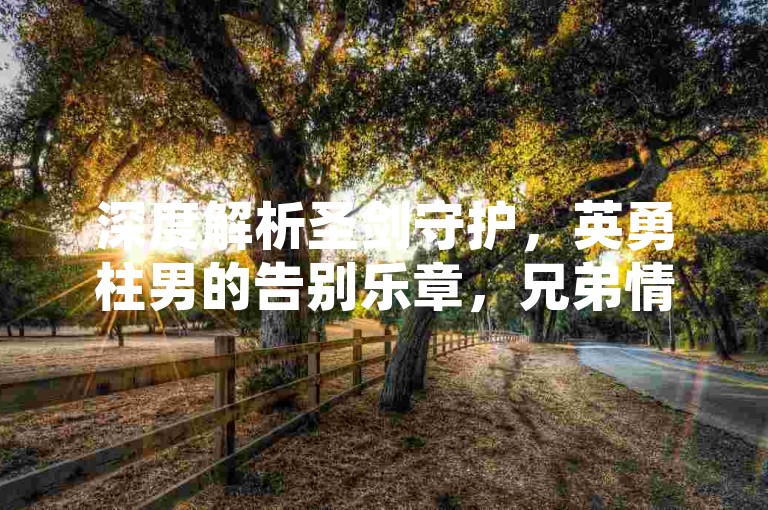 深度解析圣剑守护，英勇柱男的告别乐章，兄弟情义难分离。