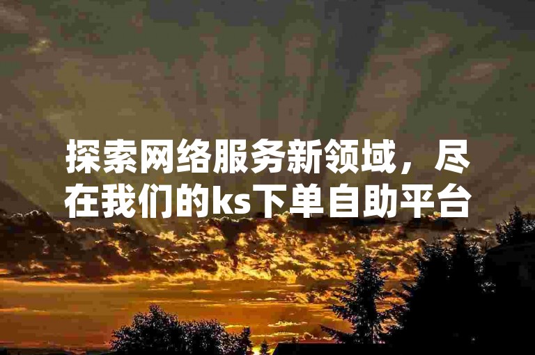 探索网络服务新领域，尽在我们的ks下单自助平台——您的理想dy低价涨业务网站。