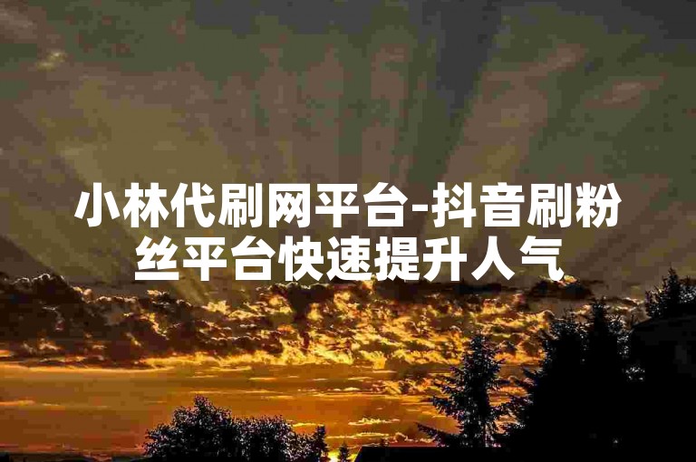 小林代刷网平台-抖音刷粉丝平台快速提升人气