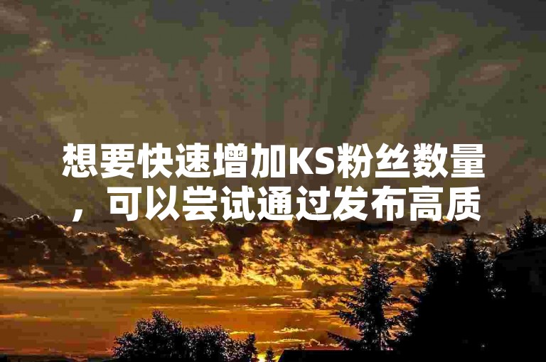 想要快速增加KS粉丝数量，可以尝试通过发布高质量内容和积极互动来吸引真实用户的关注。