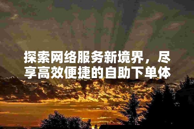 探索网络服务新境界，尽享高效便捷的自助下单体验。